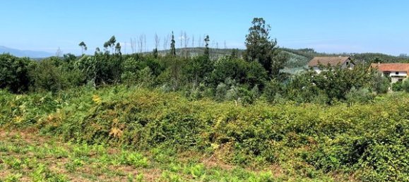 Terreno en Mortagua, Portugal 636 m² No. 49276 14