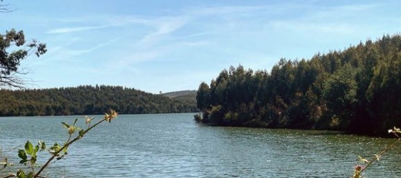 Terreno en Mortagua, Portugal 636 m² No. 49276 3