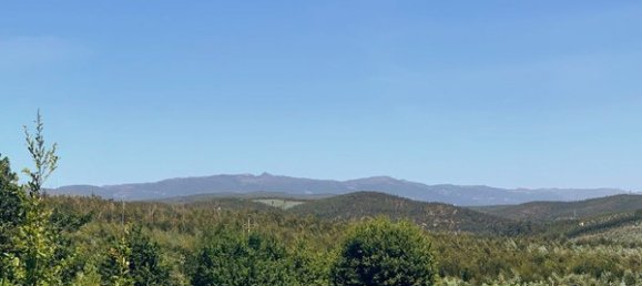 Terreno en Mortagua, Portugal 636 m² No. 49276 12