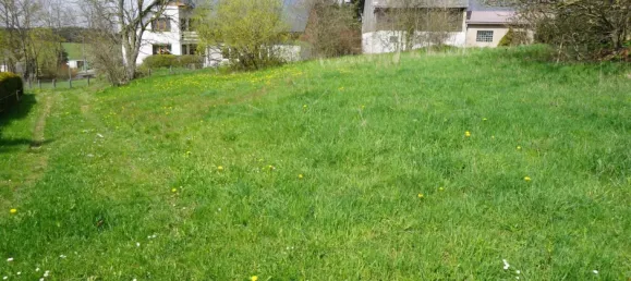  قطعة أرض في Vogtlandkreis, Germany رقم 71243 6