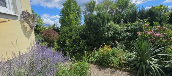 Дом с 6 комнатами в Хартберг, Австрия № 214982 20