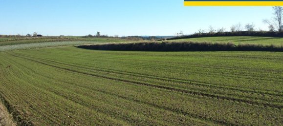  Land in Zwettl-Niederosterreich, Austria No. 56589 2