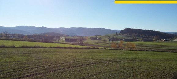  Land in Zwettl-Niederosterreich, Austria No. 56589 3