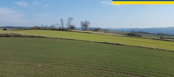  Land in Zwettl-Niederosterreich, Austria No. 56589 6