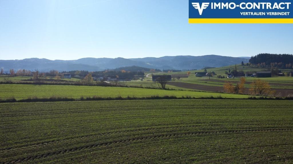  Land in Zwettl-Niederosterreich, Austria No. 56589