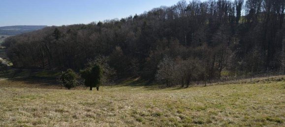 5غرفة منزل في Bad Gleichenberg, Austria رقم 146087 33