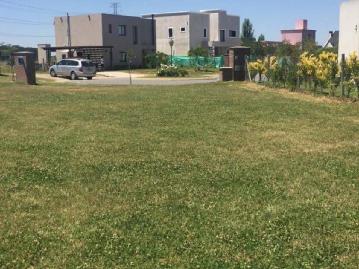  Land in Tigre, Argentina No. 40099