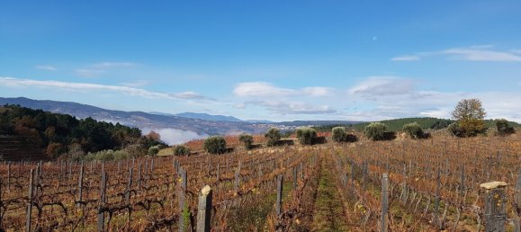 5 bedrooms House in Favaios, Portugal No. 190007 9