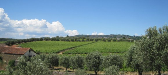 5 bedrooms House in Favaios, Portugal No. 190007 12