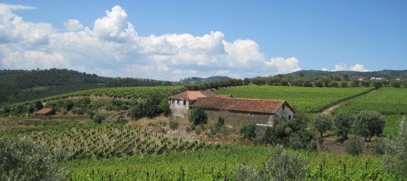 5 bedrooms House in Favaios, Portugal No. 190007 13