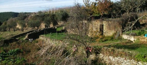 5 bedrooms House in Favaios, Portugal No. 190007 6