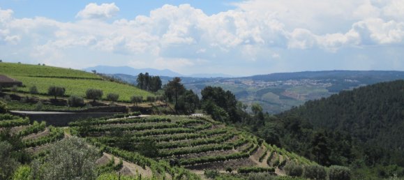 5 bedrooms House in Favaios, Portugal No. 190007 15