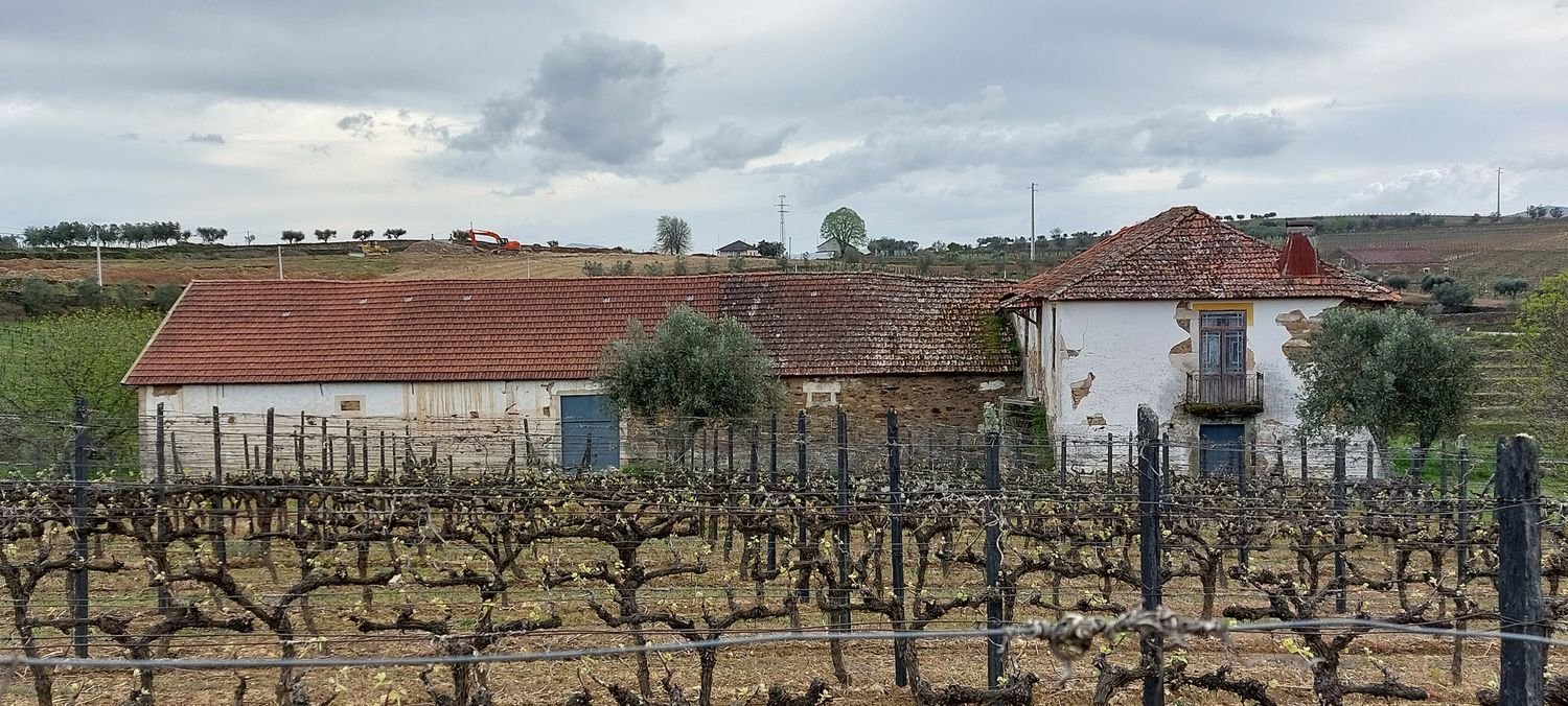 5 bedrooms House in Favaios, Portugal No. 190007