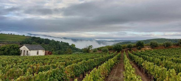 5 bedrooms House in Favaios, Portugal No. 190007 4