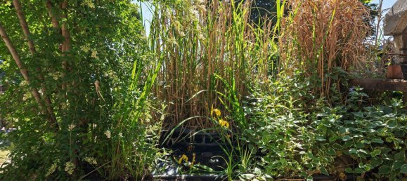 4 rooms House in Ganserndorf, Austria No. 138104 20