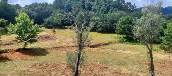 3 غرف نوم منزل في Mosteiro, Portugal رقم 32498 12