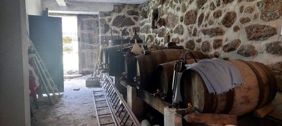 3 غرف نوم منزل في Mosteiro, Portugal رقم 32498 9