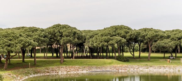 3 chambres Maison à Cascais, Portugal No. 119733 26