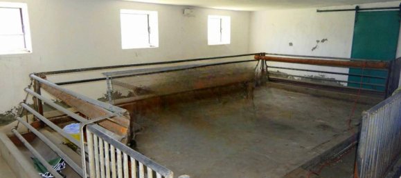 7غرفة منزل في Weitersfeld, Austria رقم 190667 30