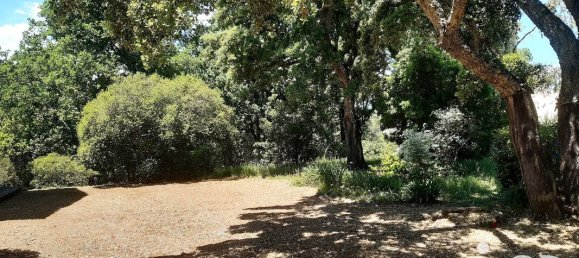 4 غرف نوم منزل في Prunelli-di-Fiumorbo, France رقم 48134 13