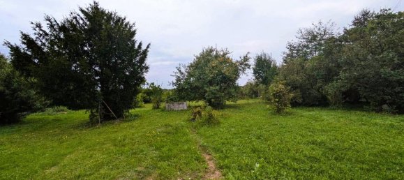 Casa de 3 dormitorios en Treilles-en-Gatinais, France No. 249884 3