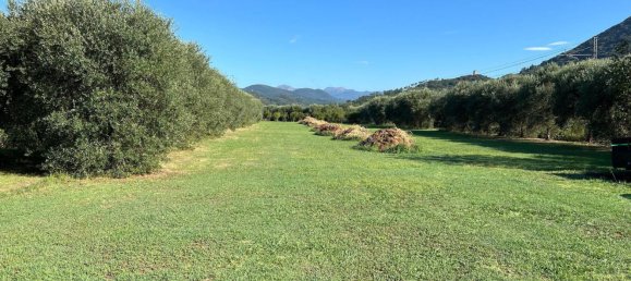 8 bedrooms Villa in San Giuliano Terme, Italy No. 315361 43