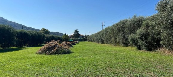 8 bedrooms Villa in San Giuliano Terme, Italy No. 315361 3