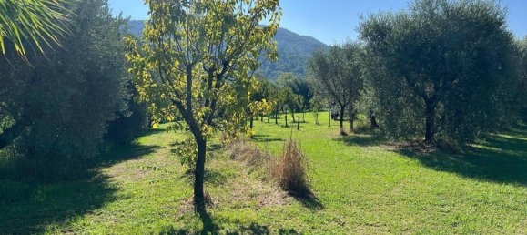 8 bedrooms Villa in San Giuliano Terme, Italy No. 315361 2