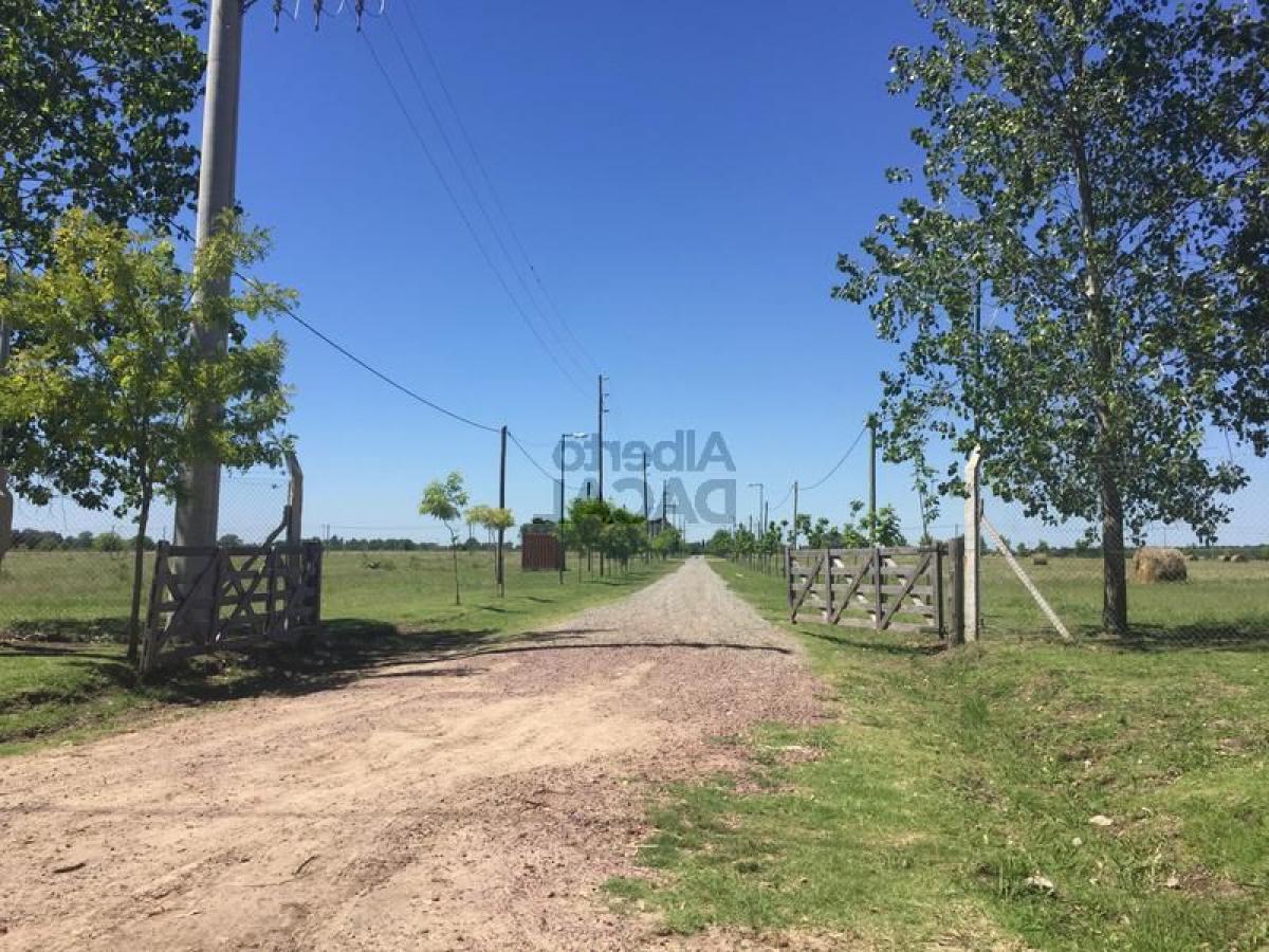Terreno em Campo Creado, Argentina N.º 49772