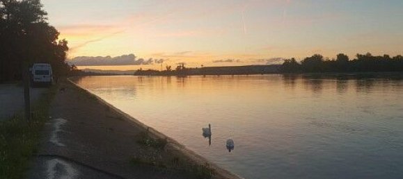 2 bedrooms Apartment in Saint-Louis, France No. 263862 29