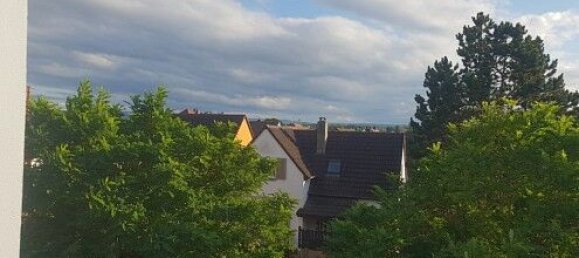 2 bedrooms Apartment in Saint-Louis, France No. 263862 12