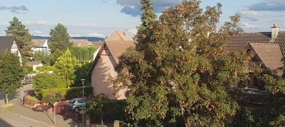 2 bedrooms Apartment in Saint-Louis, France No. 263862 5