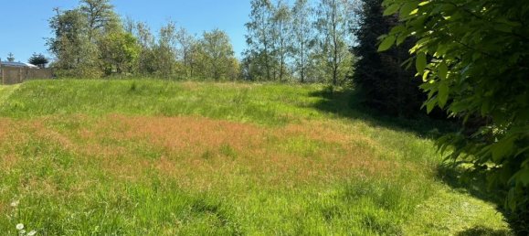 1 bedroom Farm in Trier-Saarburg, Germany No. 164573 5