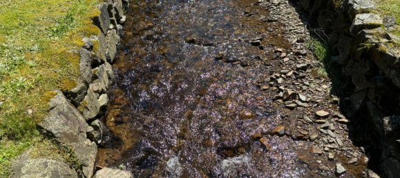 1 bedroom Farm in Trier-Saarburg, Germany No. 164573 3