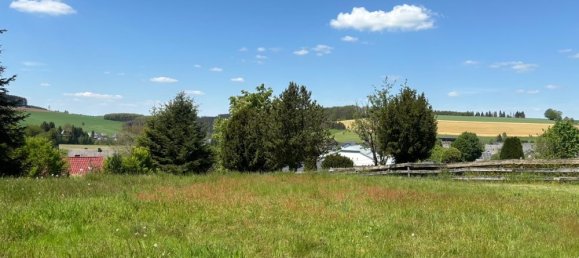 1 bedroom Farm in Trier-Saarburg, Germany No. 164573 4