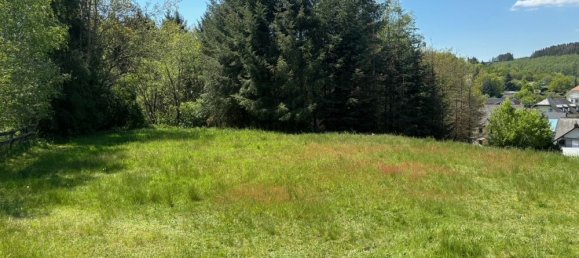 1 bedroom Farm in Trier-Saarburg, Germany No. 164573 7