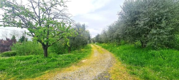 Casa de 12 habitaciónes en San Miniato, Italy No. 259857 4