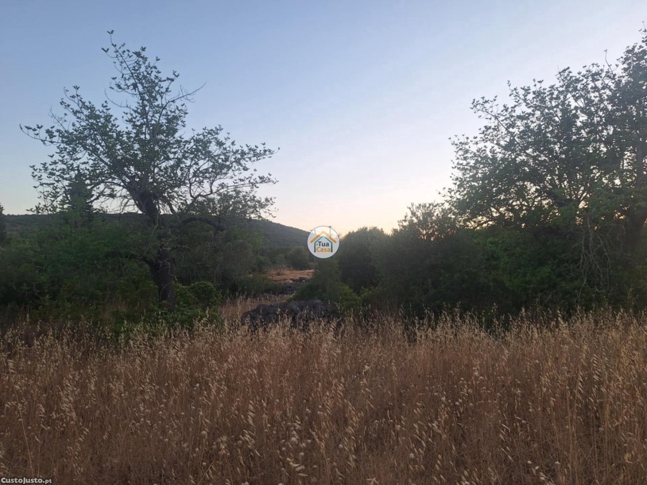  قطعة أرض في Olhao, Portugal 4400متر مربع رقم 305928