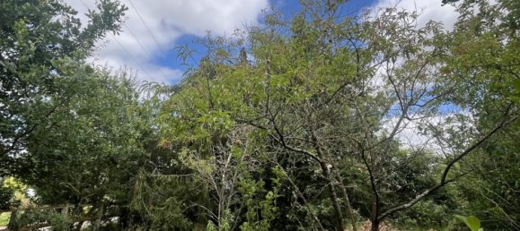 Land in Saint-Lucien, France No. 259712 3