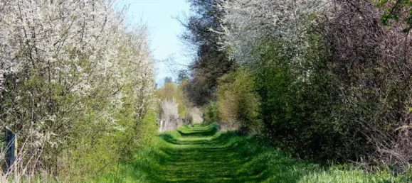 3 Schlafzimmer Stadthaus in Heidekreis, Germany, Nr. 226777 16