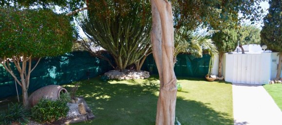 Villa de 4 dormitorios en Torrevieja, Spain No. 184749 15