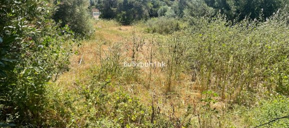 3 غرف نوم قطعة أرض في Marbella, Spain رقم 149931 2