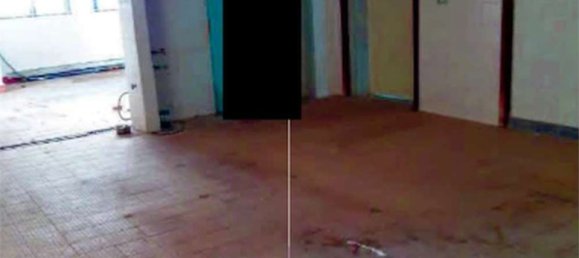 Gewerbliche Immobilie in Gaiba, Italy 772m², Nr. 53445 29