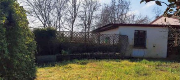 Gewerbliche Immobilie in Gaiba, Italy 772m², Nr. 53445 8