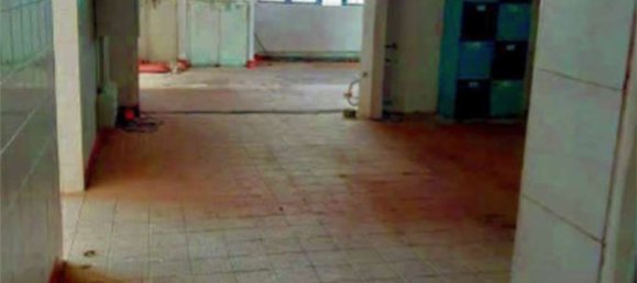 Gewerbliche Immobilie in Gaiba, Italy 772m², Nr. 53445 28