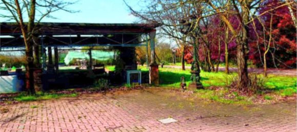 Gewerbliche Immobilie in Gaiba, Italy 772m², Nr. 53445 16