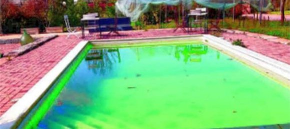 Gewerbliche Immobilie in Gaiba, Italy 772m², Nr. 53445 17