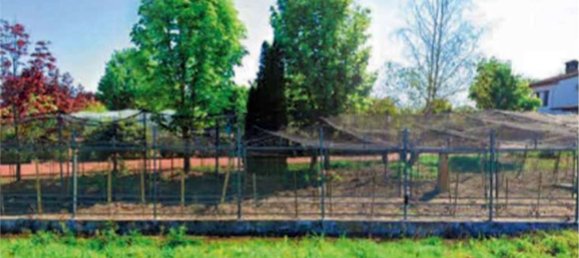 Gewerbliche Immobilie in Gaiba, Italy 772m², Nr. 53445 3