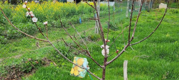 Terreno em Passignano sul Trasimeno, Italy N.º 334858 2