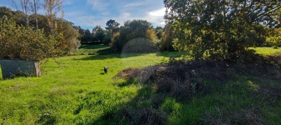 2 غرف نوم منزل في Santana da Azinha, Portugal رقم 176801 16